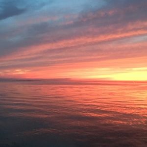 Meet your Posher, Tracey